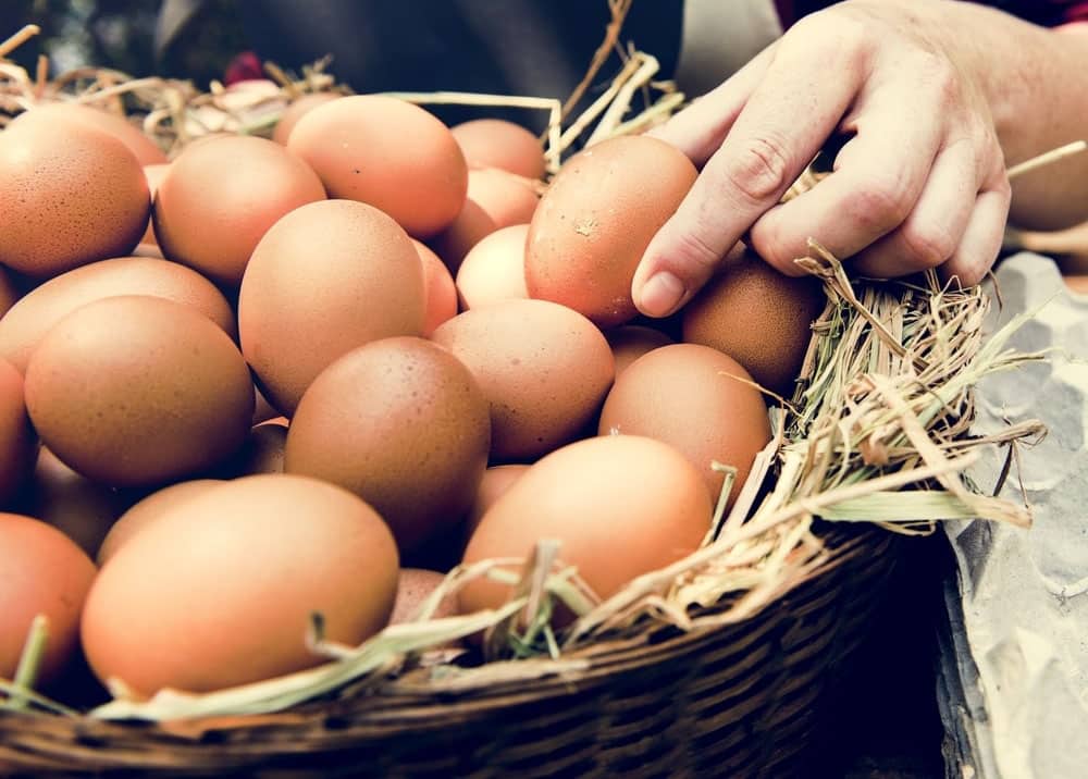 Mơ thấy trứng gà đánh con gì đảm bảo ăn chắc nhất?
